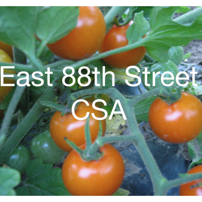 East 88th Street CSA
