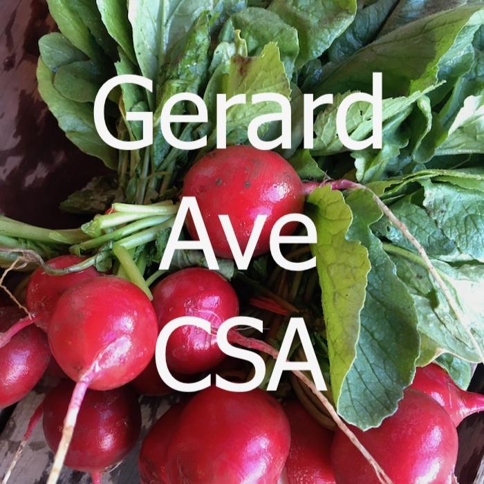 Gerard Avenue CSA