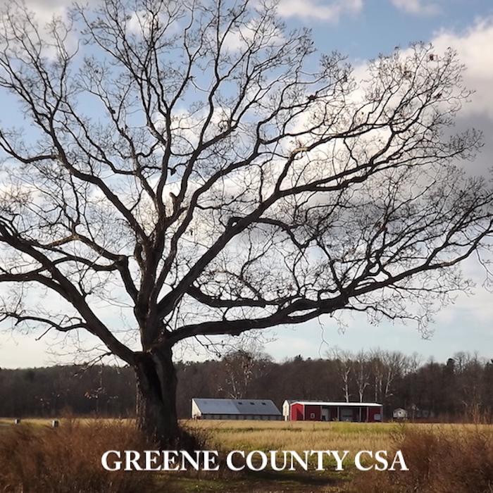 Greene County CSA
