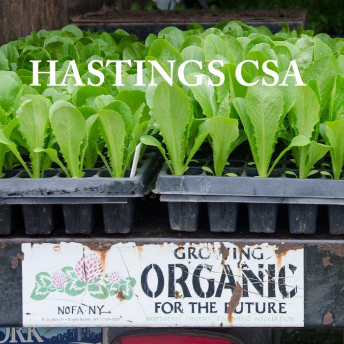 Hastings CSA