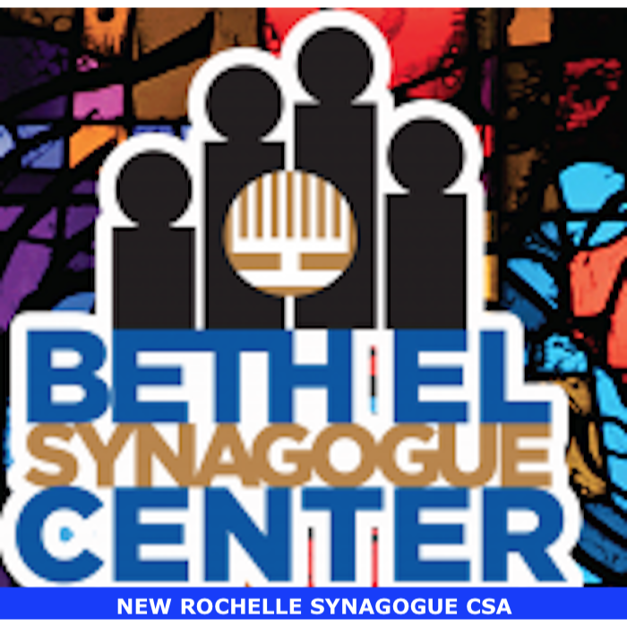 New Rochelle Synagogue CSA