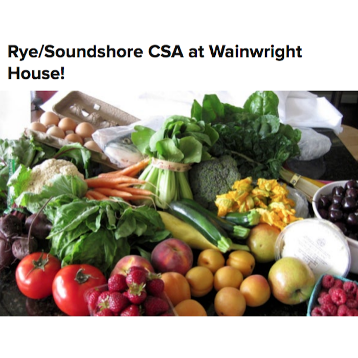 Rye/ Soundshore CSA
