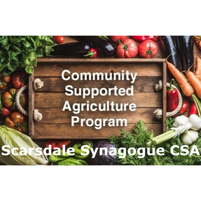 Scarsdale Synagogue CSA