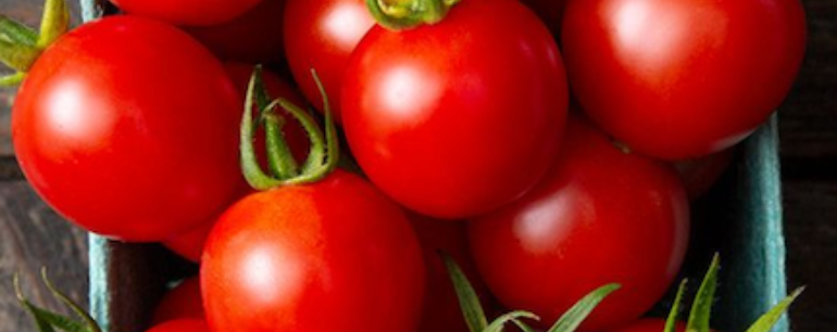 Sign Up for 2025 CSA Shares